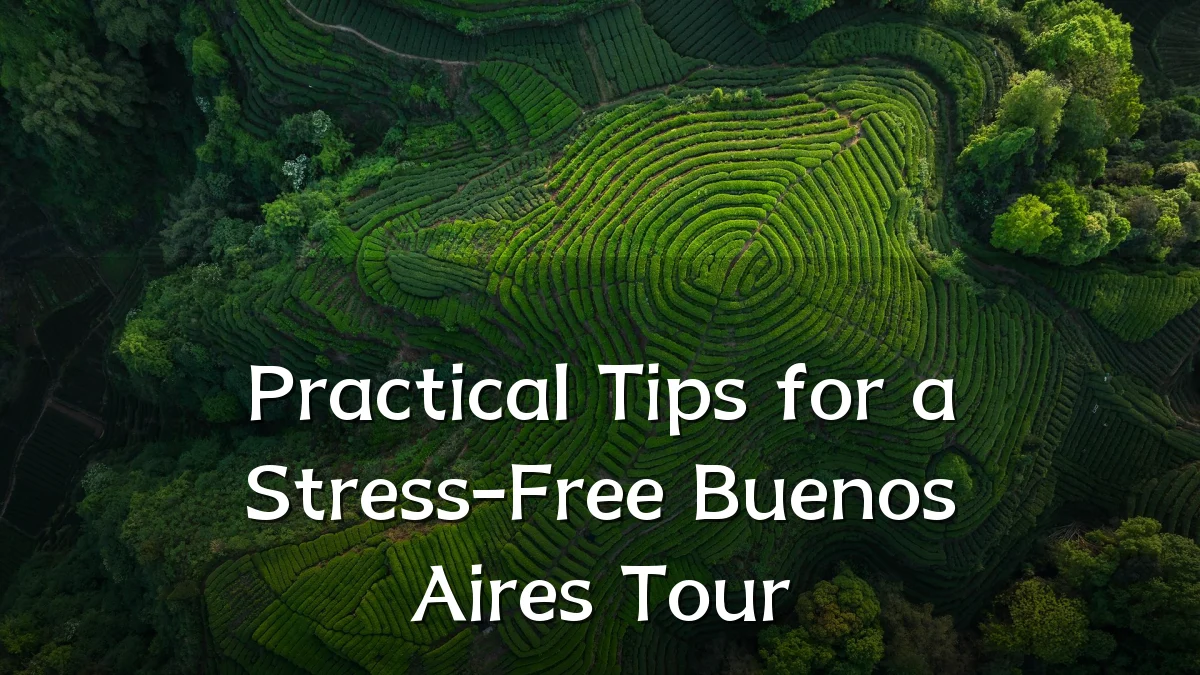 Practical Tips for a Stress-Free Buenos Aires Tour