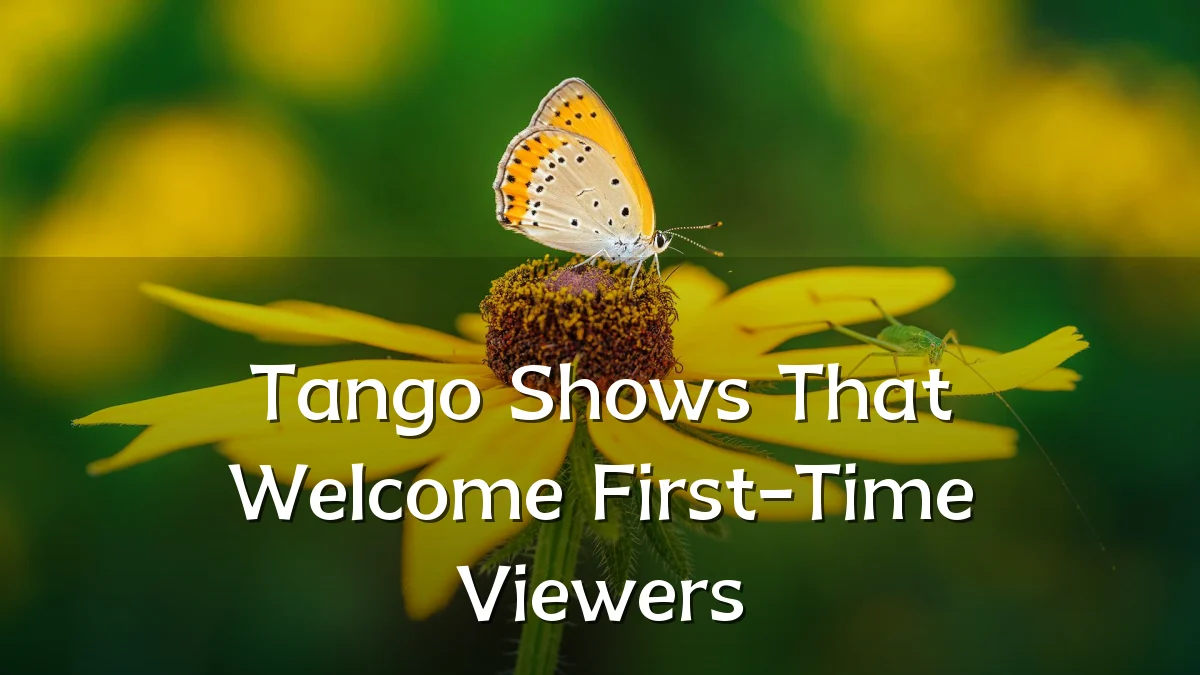 Tango Shows That Welcome First-Time Viewers