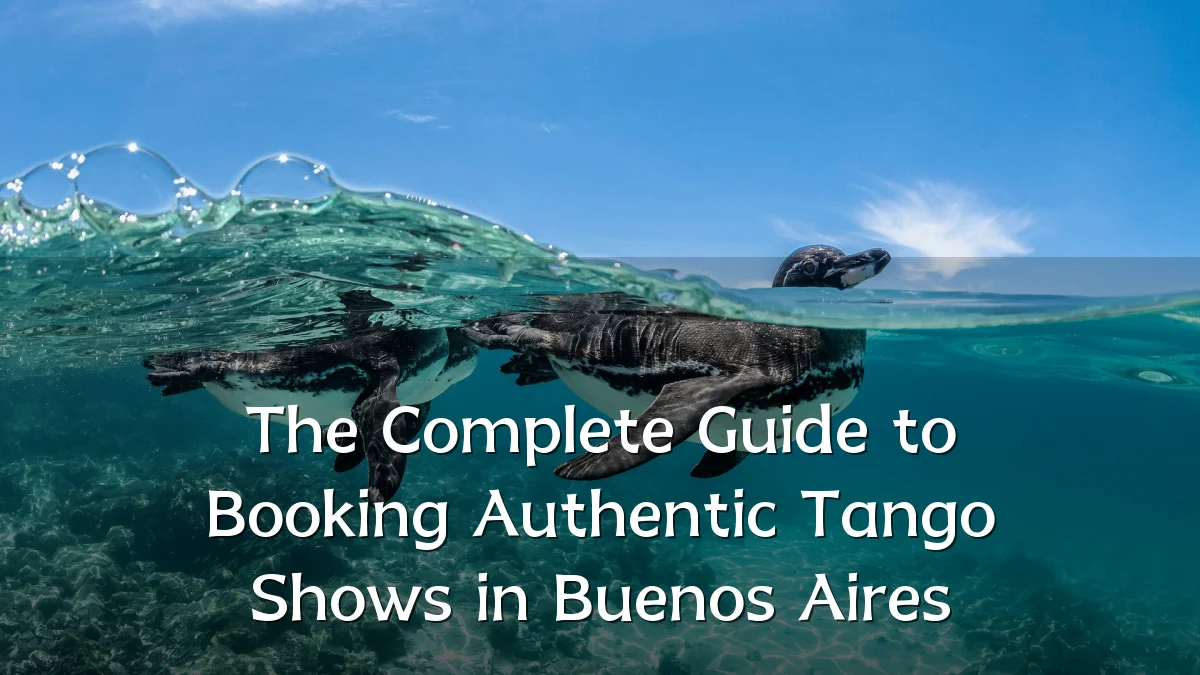 The Complete Guide to Booking Authentic Tango Shows in Buenos Aires
