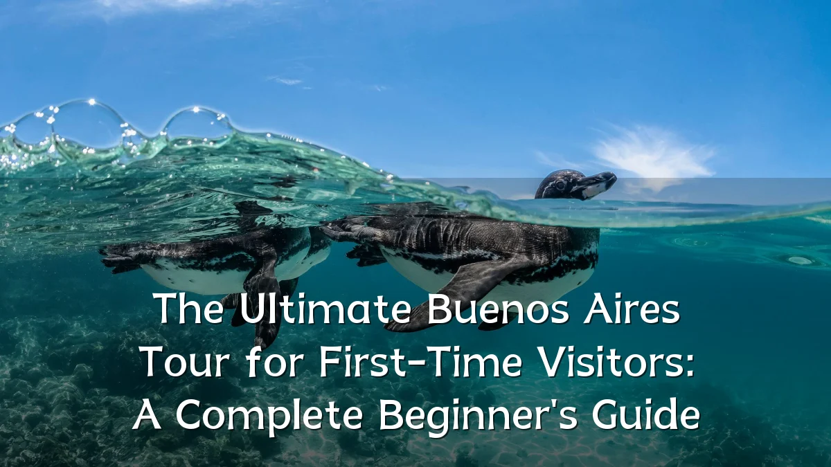 The Ultimate Buenos Aires Tour for First-Time Visitors: A Complete Beginner's Guide