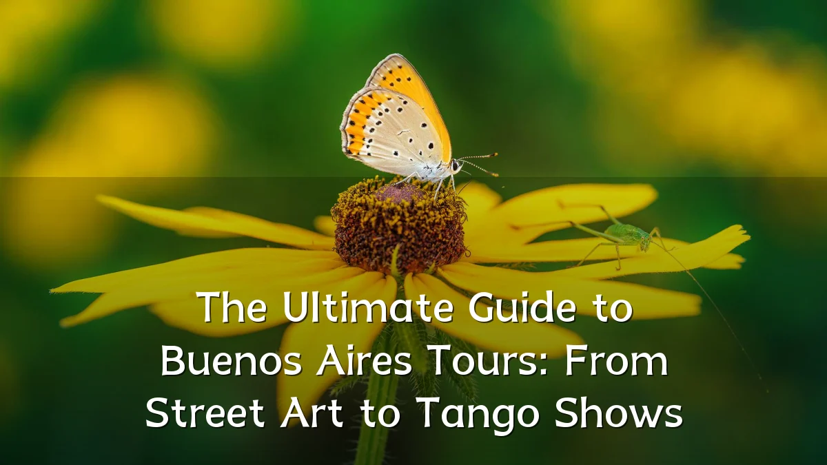 The Ultimate Guide to Buenos Aires Tours: From Street Art to Tango Shows