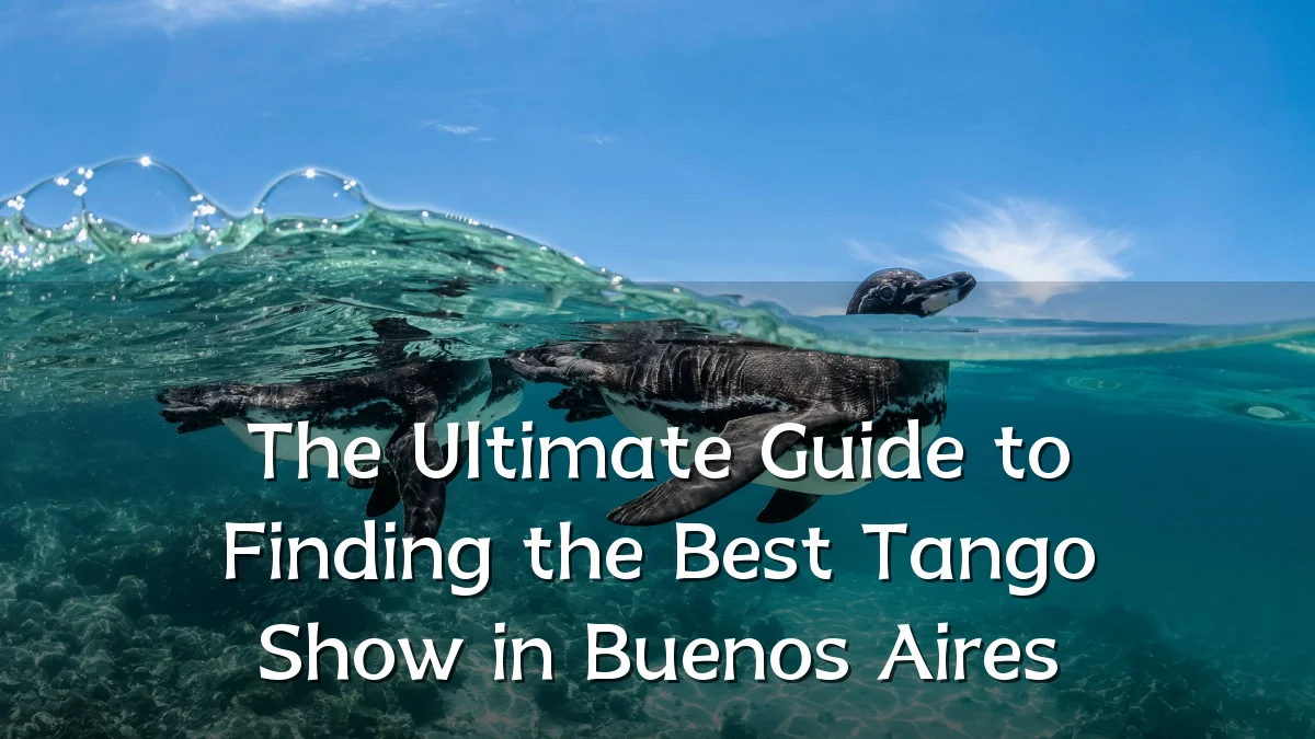 The Ultimate Guide to Finding the Best Tango Show in Buenos Aires