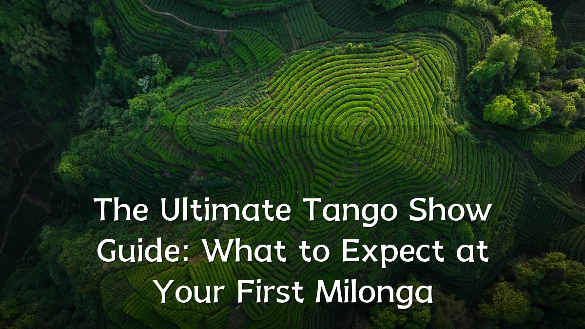 The Ultimate Tango Show Guide: What to Expect at Your First Milonga