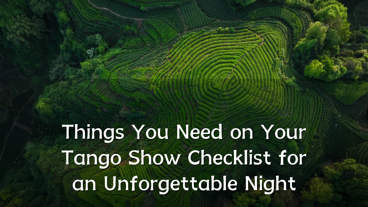 Things You Need on Your Tango Show Checklist for an Unforgettable Night