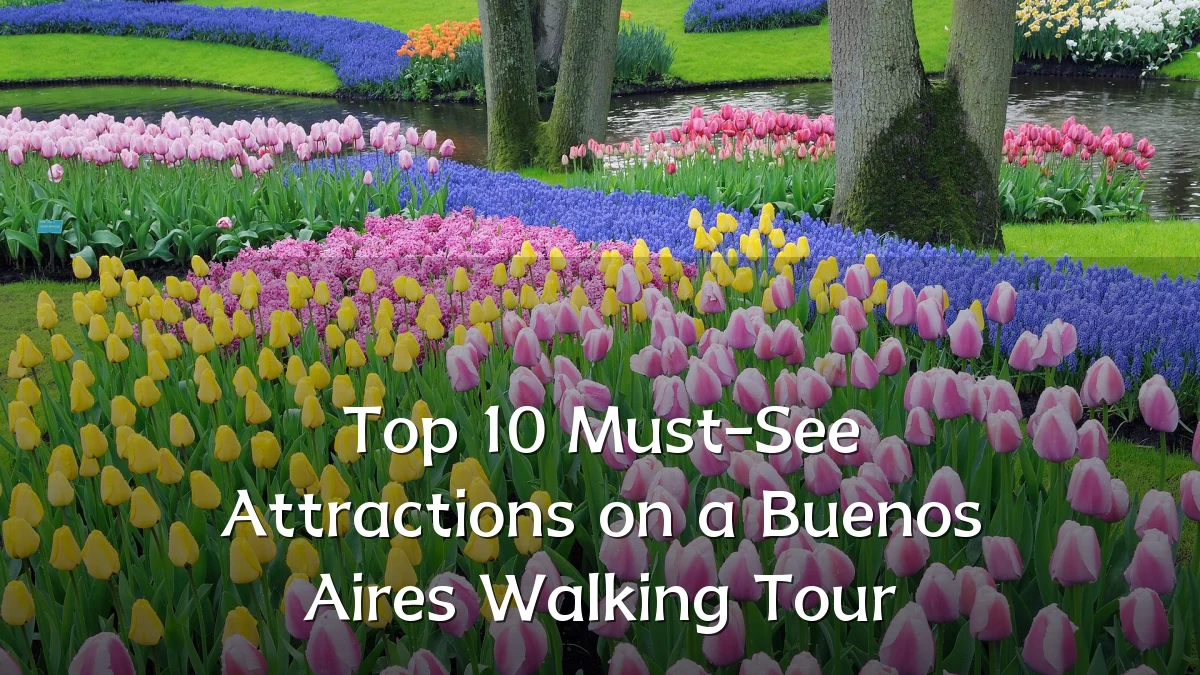 Top 10 Must-See Attractions on a Buenos Aires Walking Tour