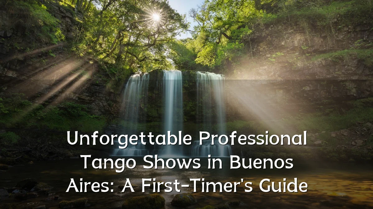 Unforgettable Professional Tango Shows in Buenos Aires: A First-Timer's Guide