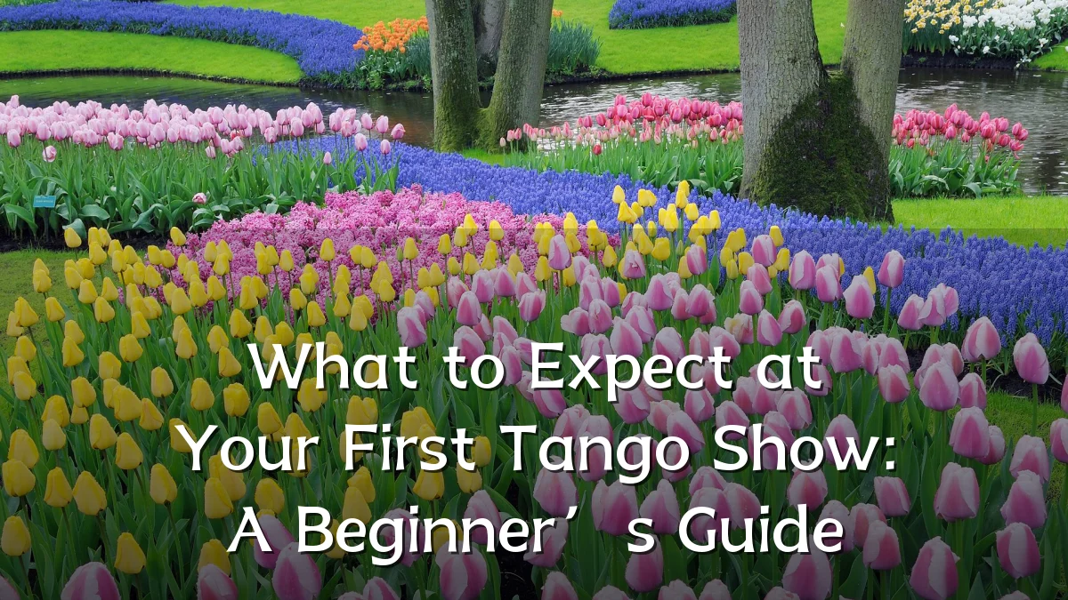 What to Expect at Your First Tango Show: A Beginner’s Guide