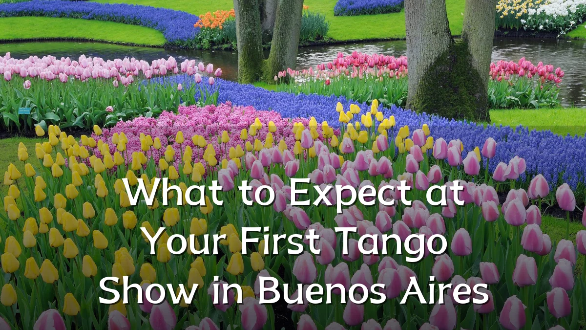 What to Expect at Your First Tango Show in Buenos Aires