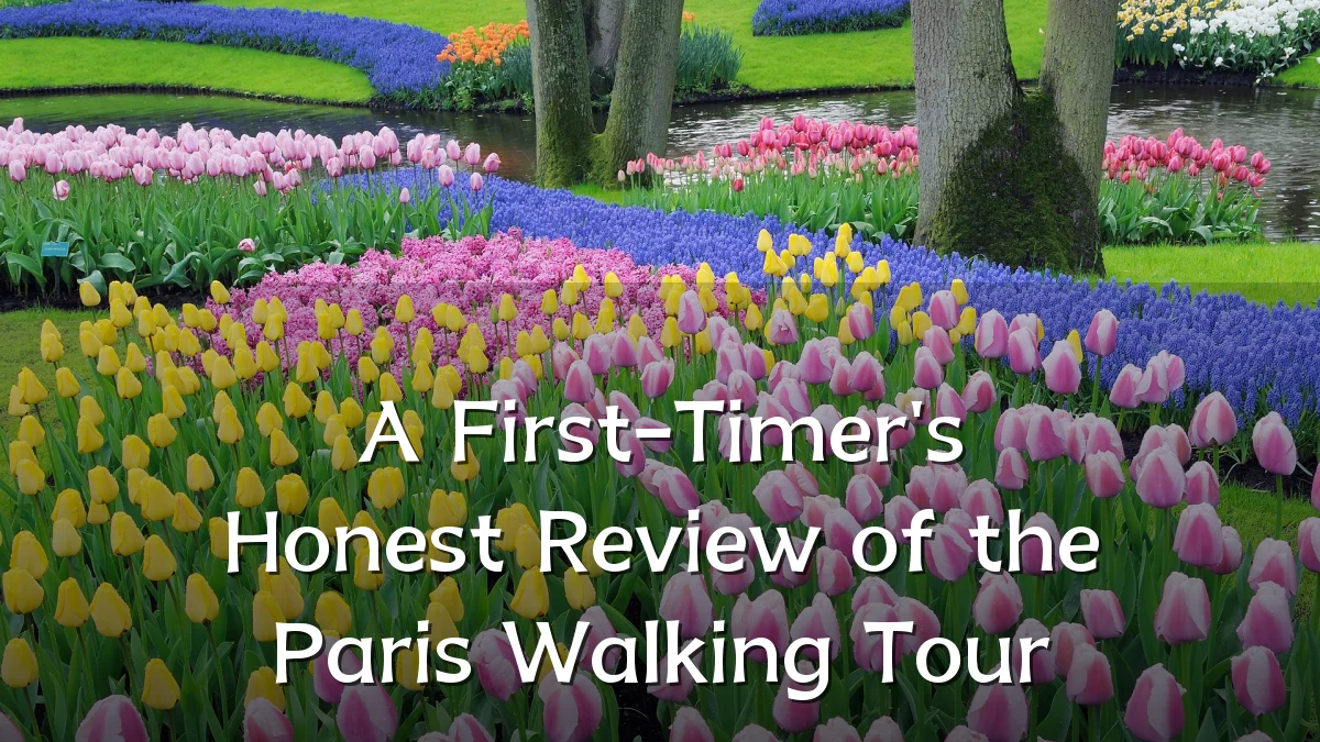 A First-Timer's Honest Review of the Paris Walking Tour