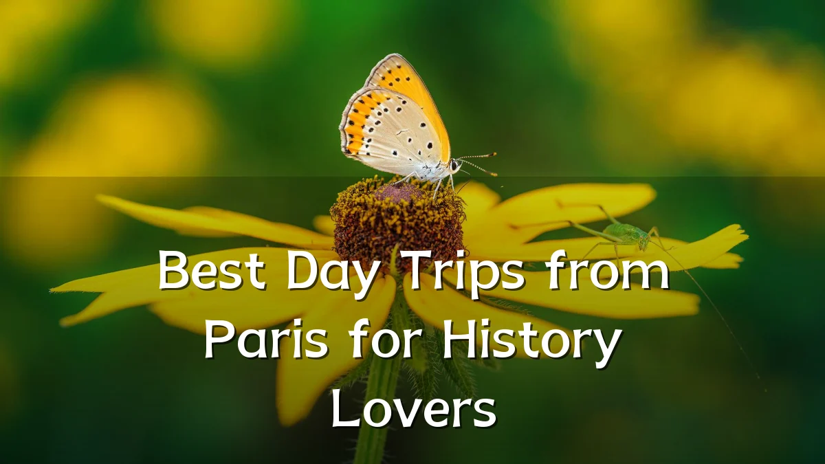 Best Day Trips from Paris for History Lovers