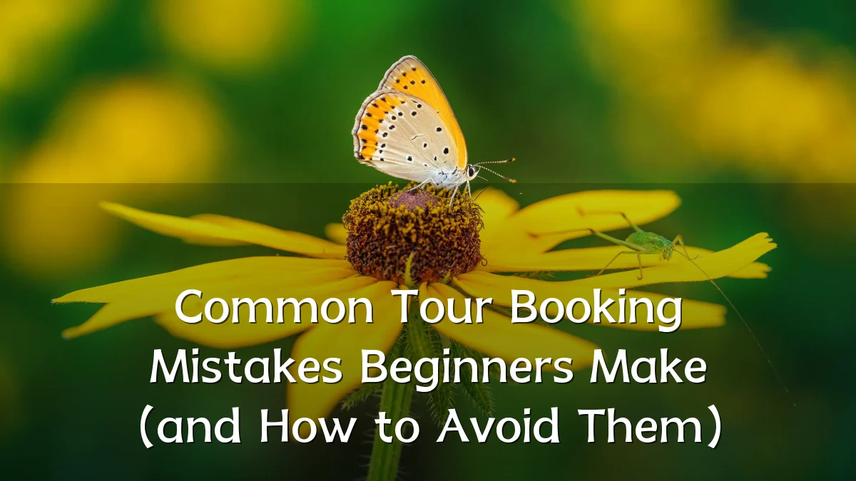 Common Tour Booking Mistakes Beginners Make (and How to Avoid Them)