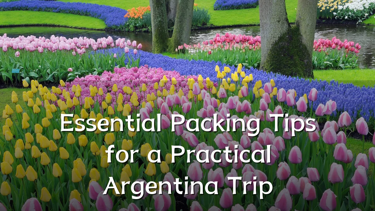 Essential Packing Tips for a Practical Argentina Trip