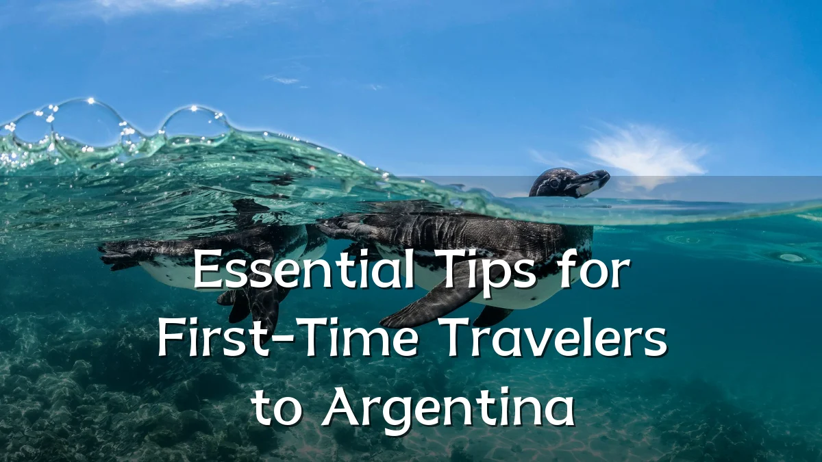 Essential Tips for First-Time Travelers to Argentina