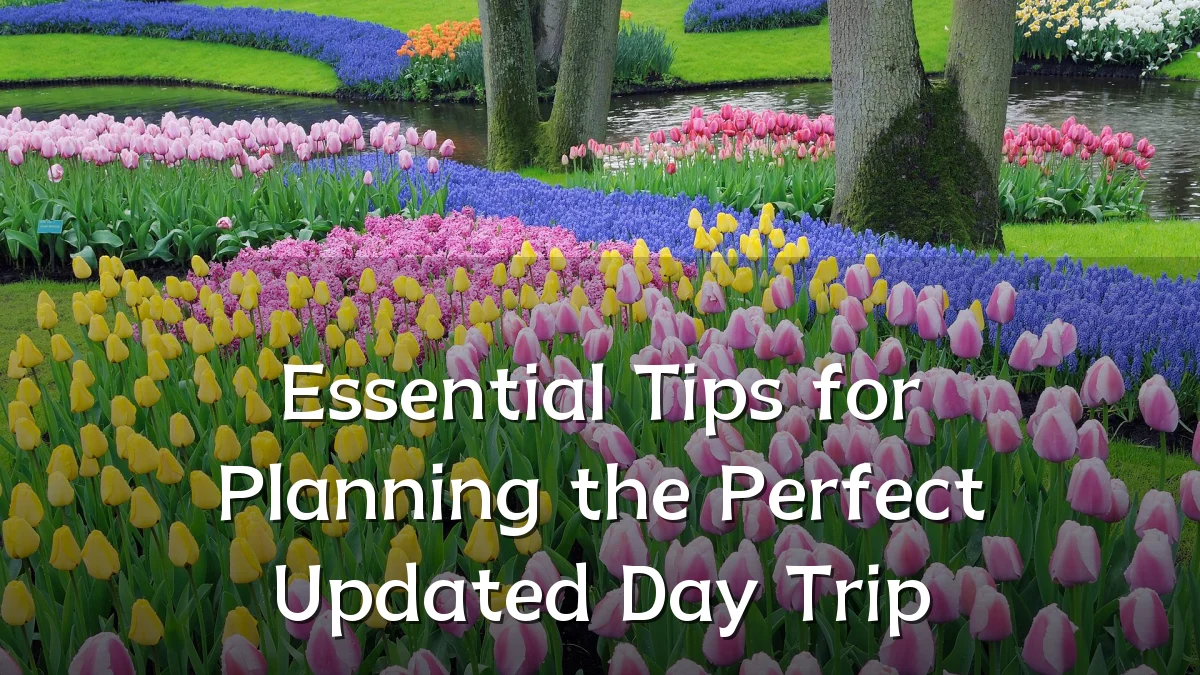 Essential Tips for Planning the Perfect Updated Day Trip
