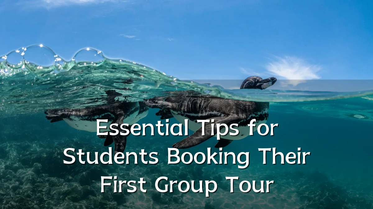 Essential Tips for Students Booking Their First Group Tour