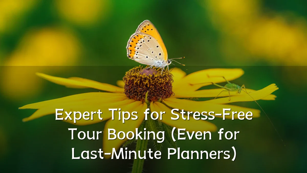 Expert Tips for Stress-Free Tour Booking (Even for Last-Minute Planners)