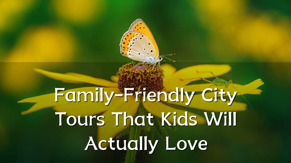 Family-Friendly City Tours That Kids Will Actually Love