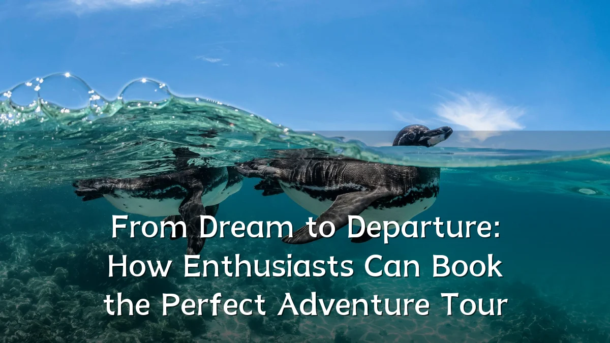 From Dream to Departure: How Enthusiasts Can Book the Perfect Adventure Tour