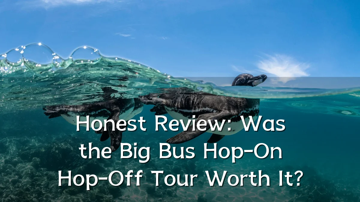 Honest Review: Was the Big Bus Hop-On Hop-Off Tour Worth It?