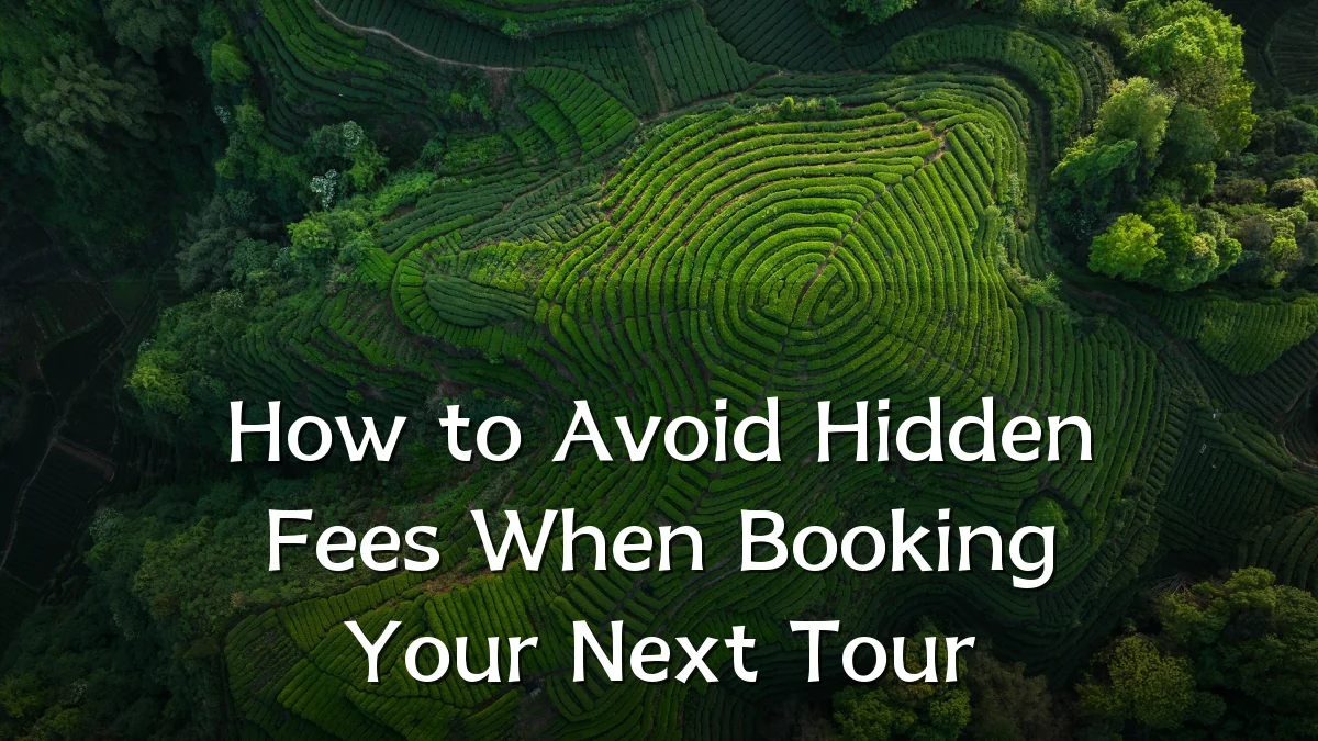 How to Avoid Hidden Fees When Booking Your Next Tour