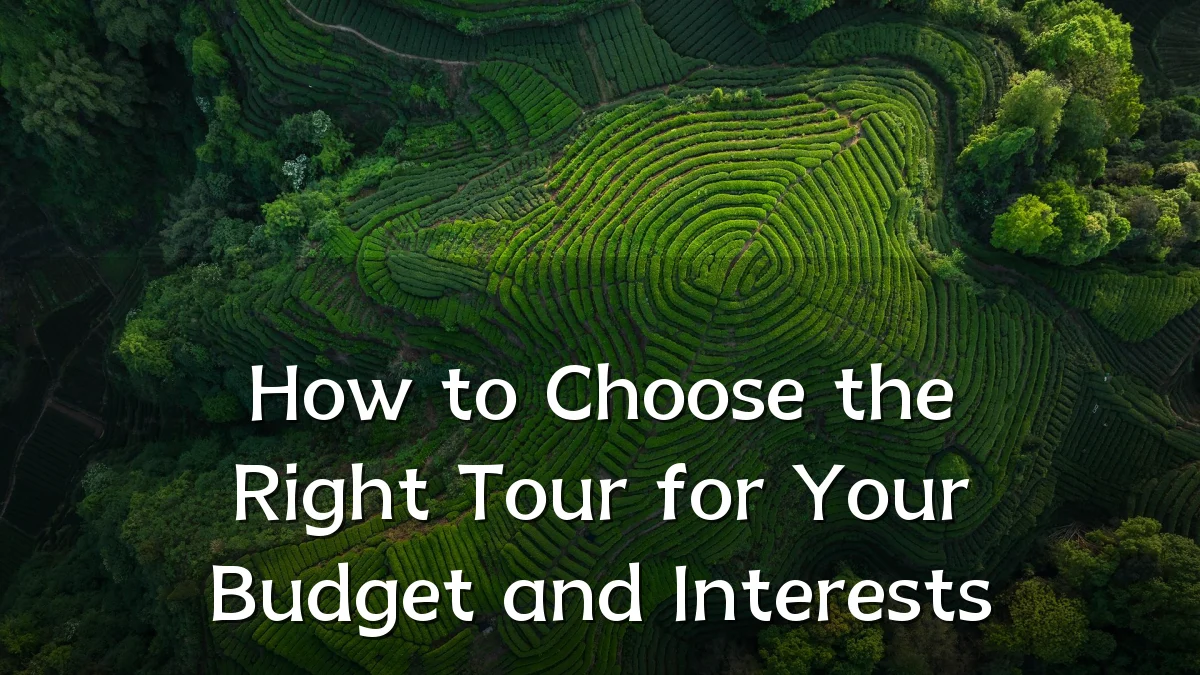 How to Choose the Right Tour for Your Budget and Interests