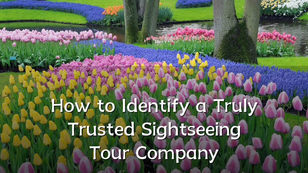 How to Identify a Truly Trusted Sightseeing Tour Company