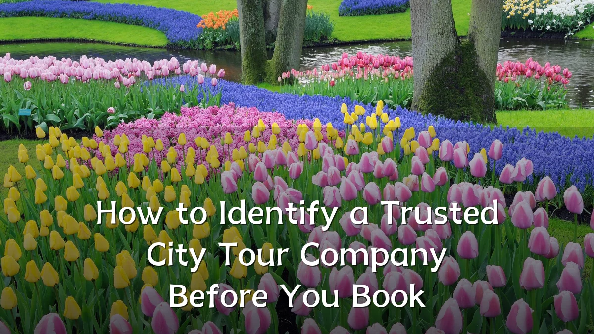 How to Identify a Trusted City Tour Company Before You Book