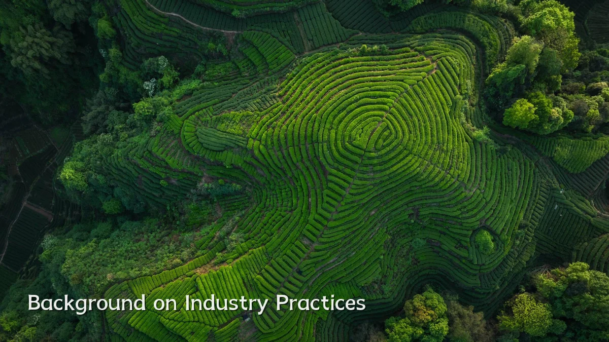 Background on Industry Practices