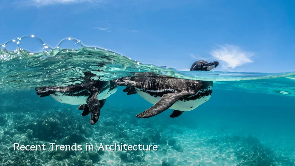 Recent Trends in Architecture