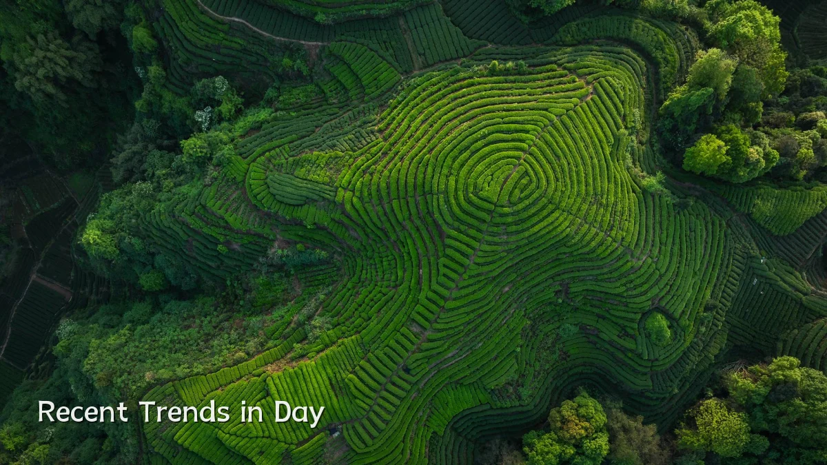 Recent Trends in Day