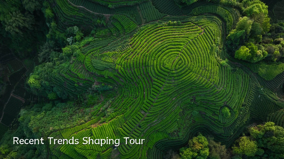 Recent Trends Shaping Tour