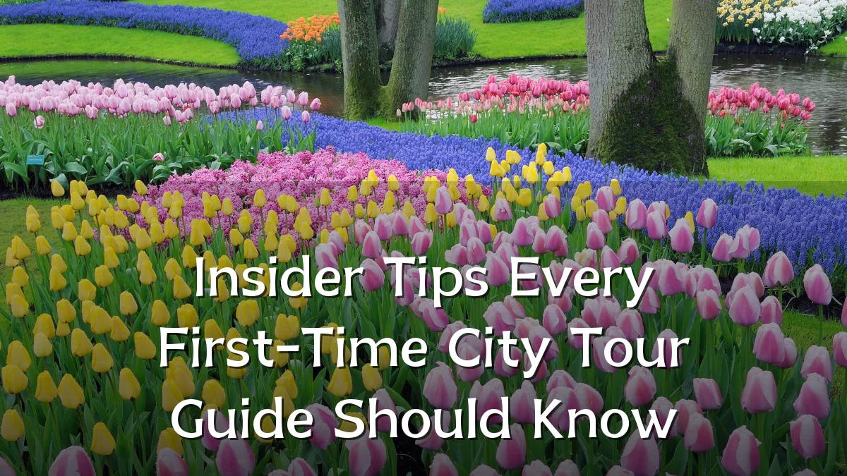 Insider Tips Every First-Time City Tour Guide Should Know