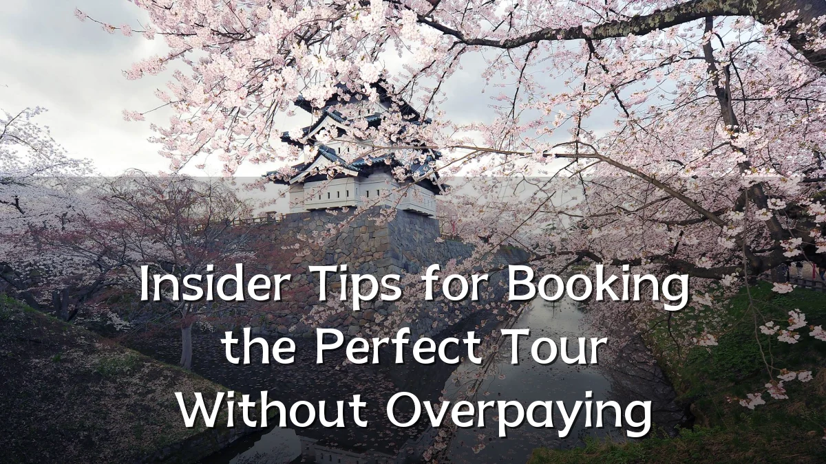 Insider Tips for Booking the Perfect Tour Without Overpaying