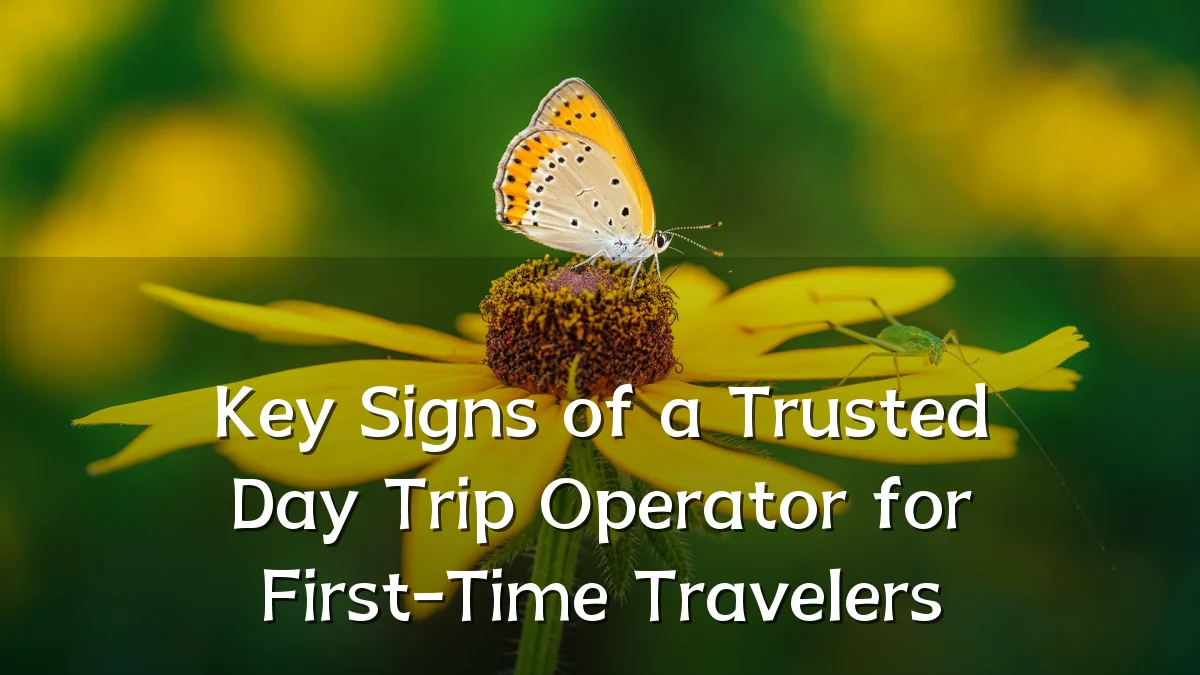 Key Signs of a Trusted Day Trip Operator for First-Time Travelers
