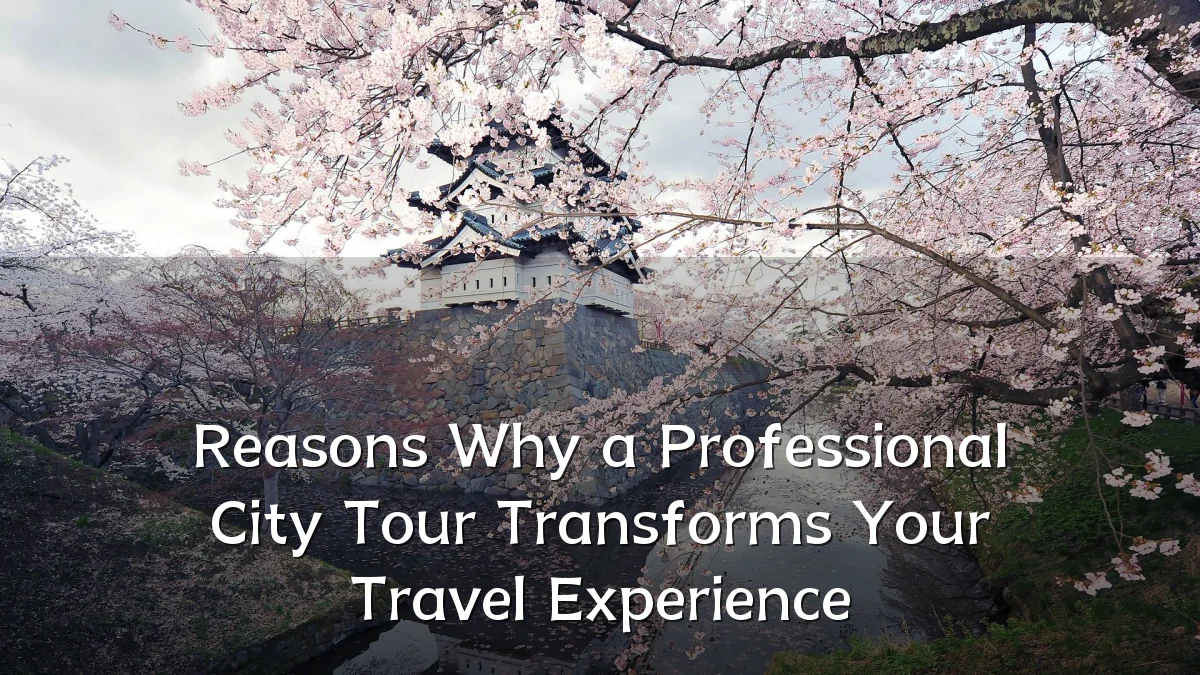 Reasons Why a Professional City Tour Transforms Your Travel Experience