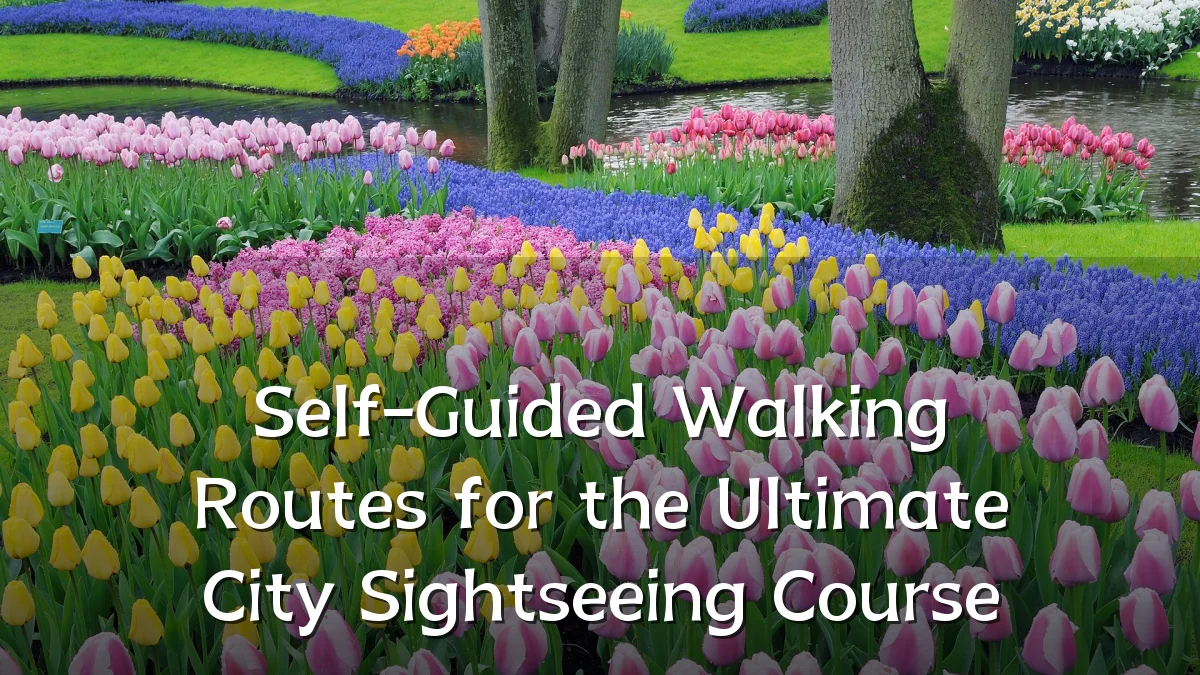 Self-Guided Walking Routes for the Ultimate City Sightseeing Course
