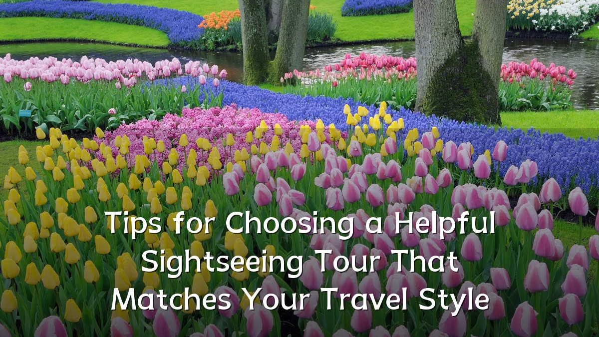 Tips for Choosing a Helpful Sightseeing Tour That Matches Your Travel Style