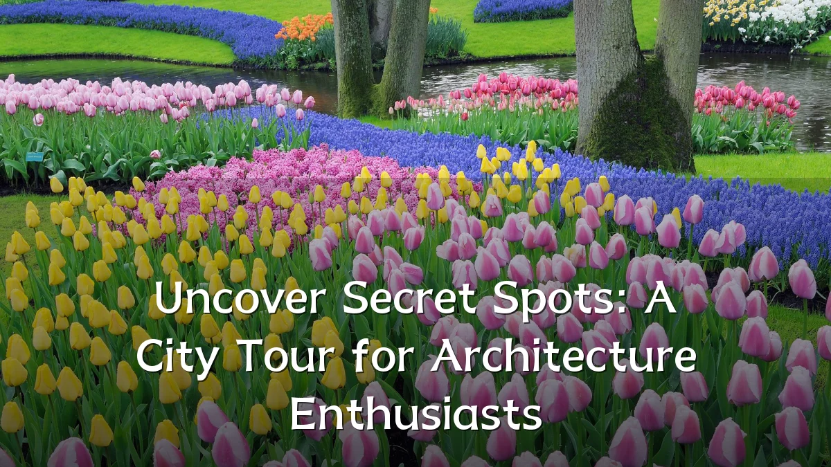 Uncover Secret Spots: A City Tour for Architecture Enthusiasts