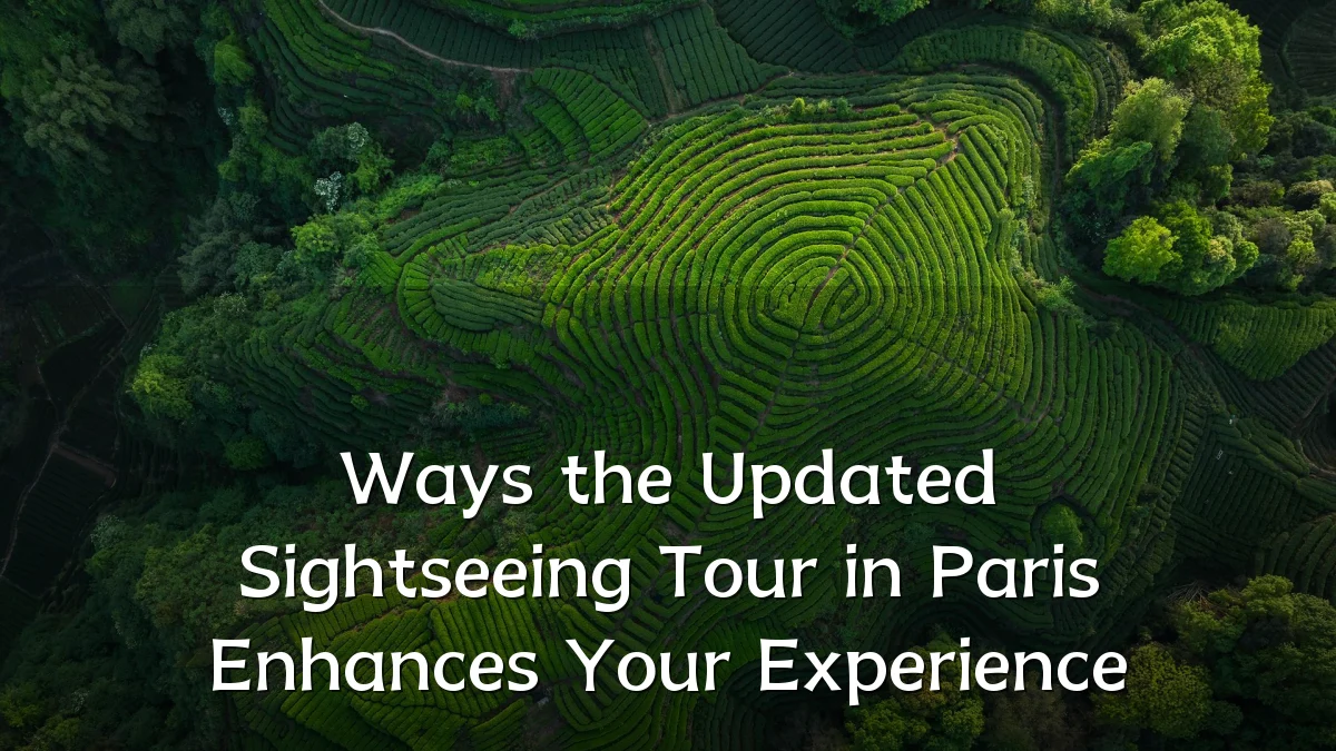 Ways the Updated Sightseeing Tour in Paris Enhances Your Experience