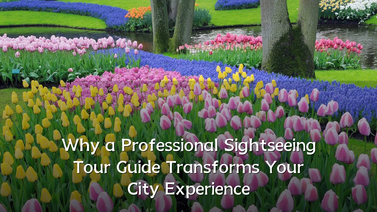 Why a Professional Sightseeing Tour Guide Transforms Your City Experience