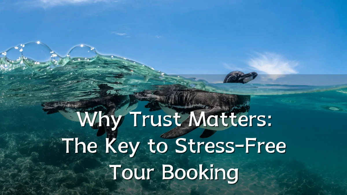 Why Trust Matters: The Key to Stress-Free Tour Booking