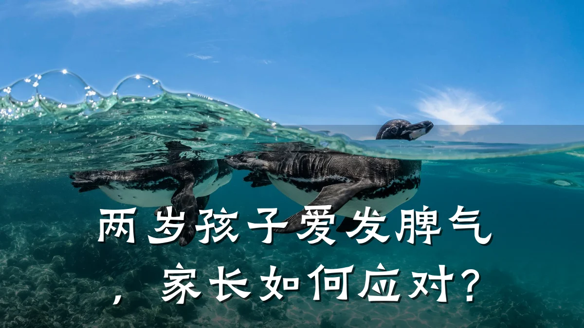 两岁孩子爱发脾气，家长如何应对？